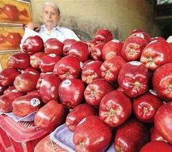 Turkiye Apple Imports Under Review as Himachal Pradesh Seeks Import Duty Hike